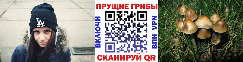 Галлюциногенные грибы мухоморы  наркота  Абакан 