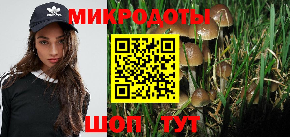 Абакан  Галлюциногенные грибы Psilocybe  Вход с VPN  Галлюциногенные грибы Psilocybe 