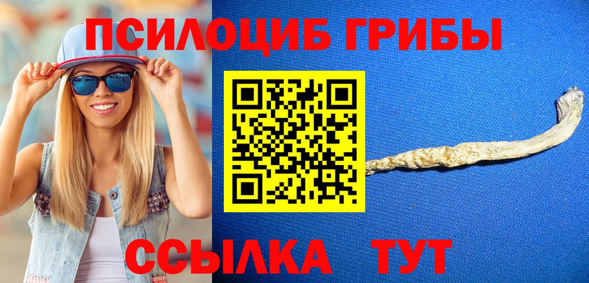 Галлюциногенные грибы прущие грибы Абакан