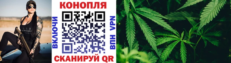 Бошки марихуана конопля  блэк спрут как войти  нарко площадка официальный сайт  Абакан 